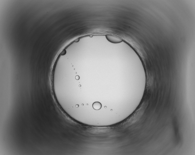 X0000096141486200802151324