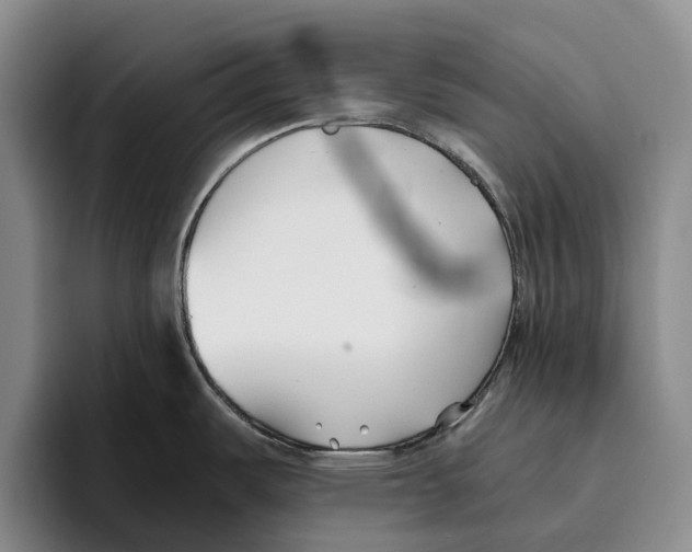 X0000096141487200802151324