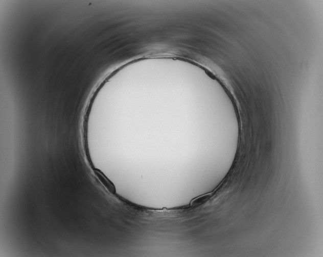 X0000096141488200802151324
