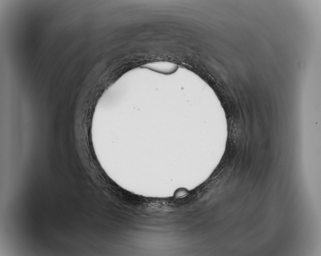X0000096141489200802151323