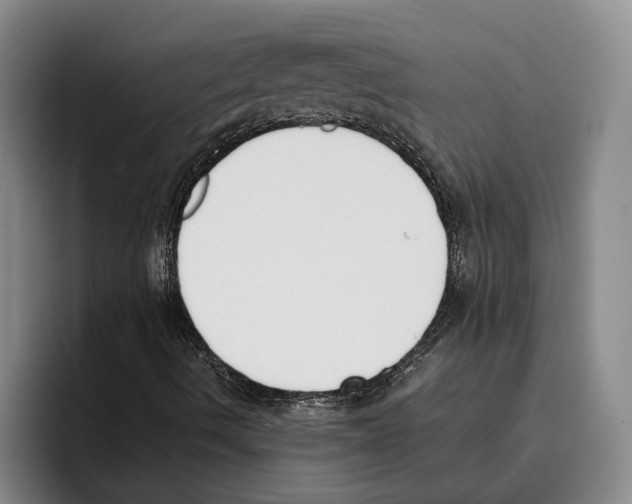 X0000096141490200802151323