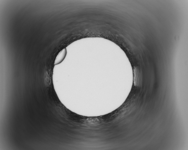 X0000096141491200802151323
