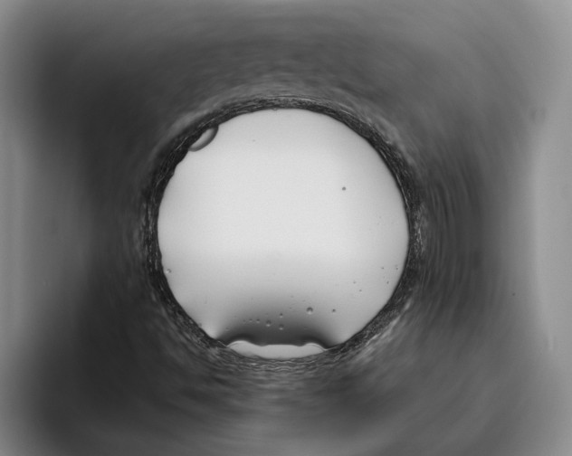 X0000096141494200802151323