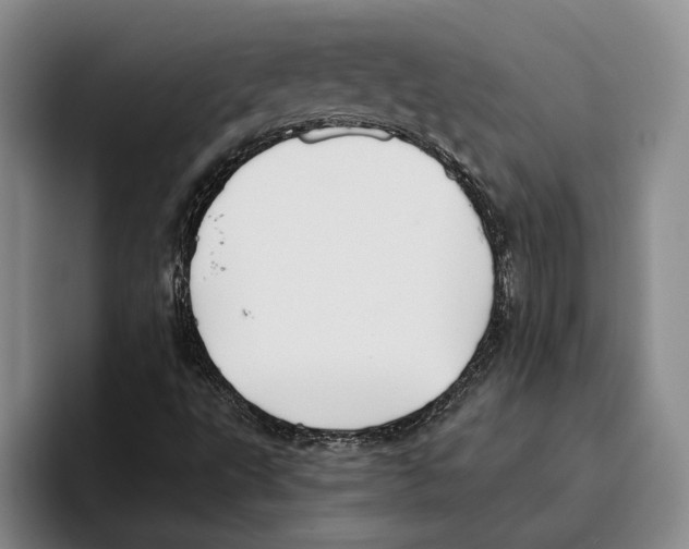 X0000096141495200802151323