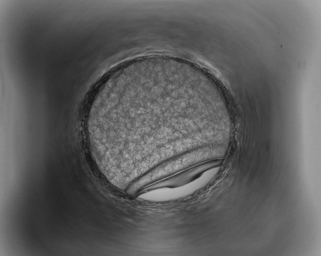 X0000096141496200802151323