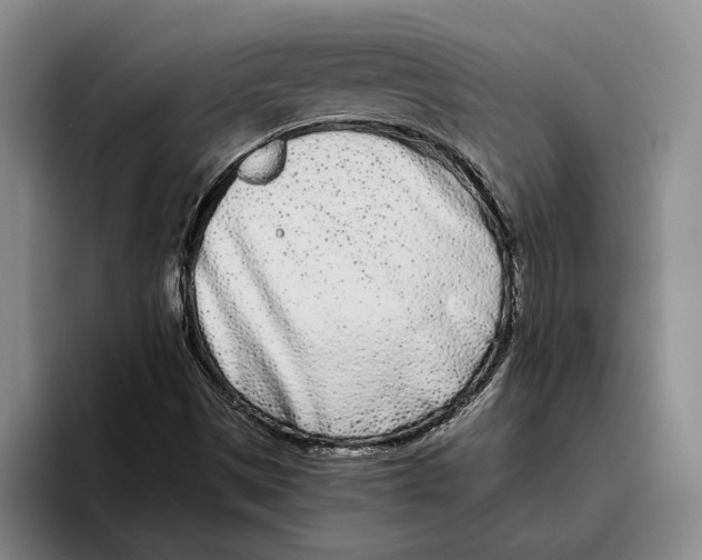 X0000096141497200802151323