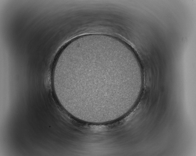 X0000096141498200802151323