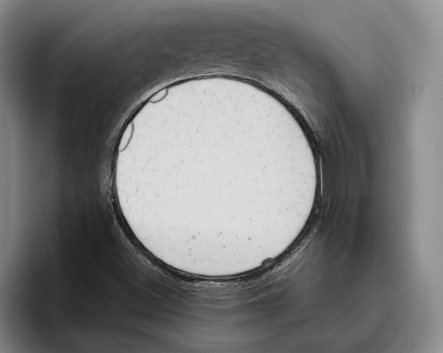 X0000096141500200802151323