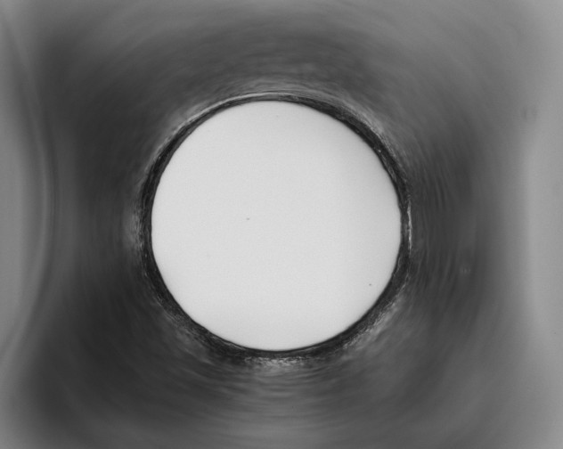 X0000096141501200802151323