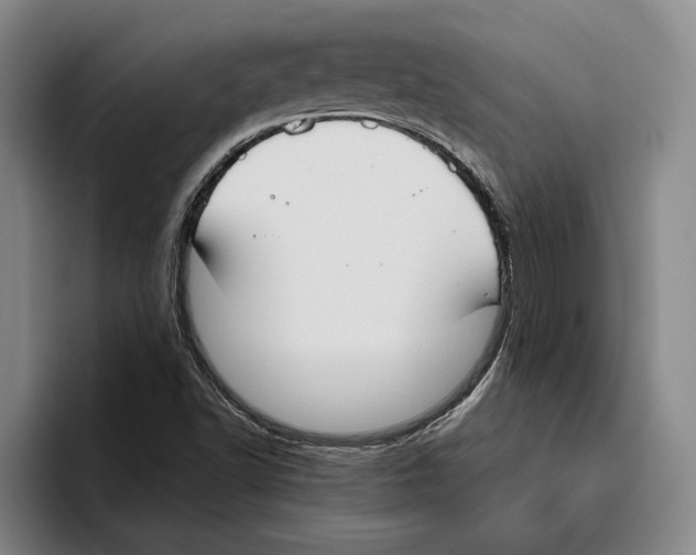 X0000096141502200802151323