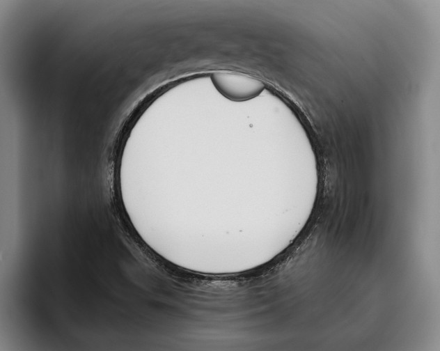 X0000096141503200802151323