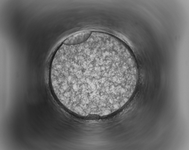 X0000096141504200802151323