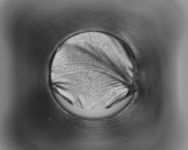 X0000096141508200802151323