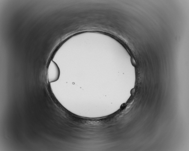 X0000096141509200802151323