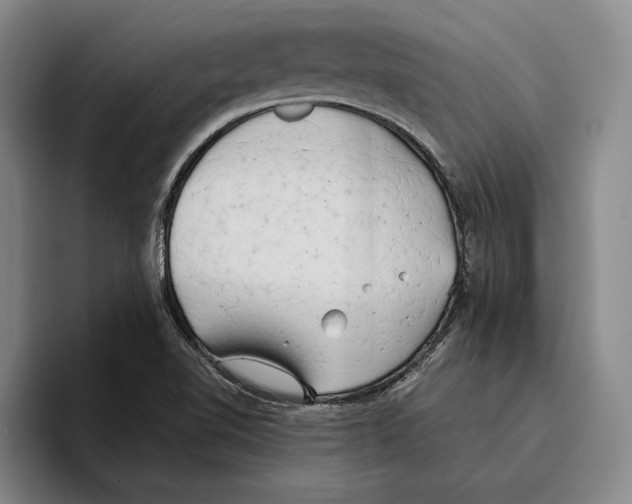 X0000096141510200802151323
