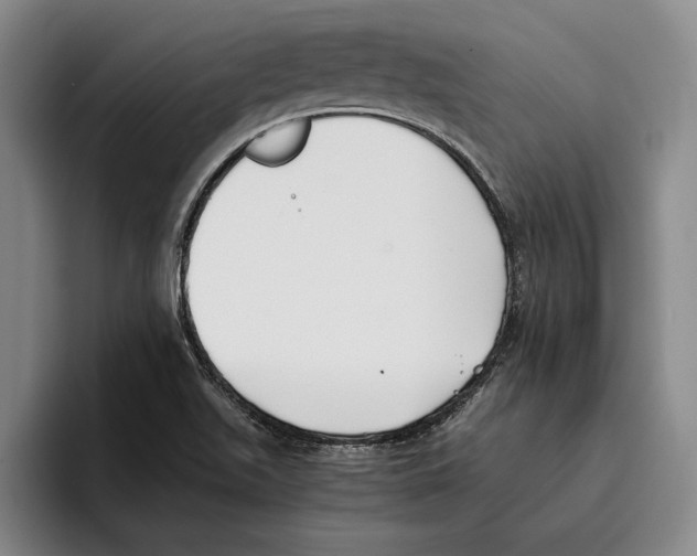 X0000096141511200802151323