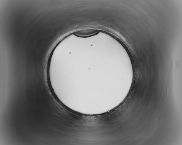X0000096141512200802151324