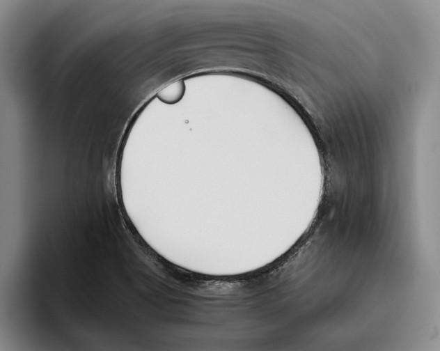 X0000096141513200802151324