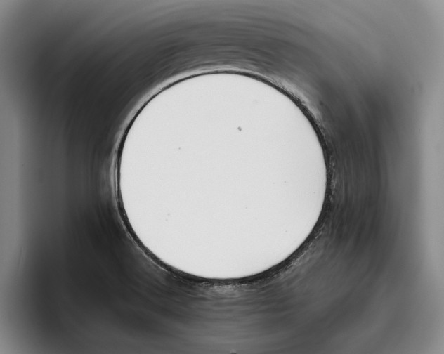 X0000096141516200802151324