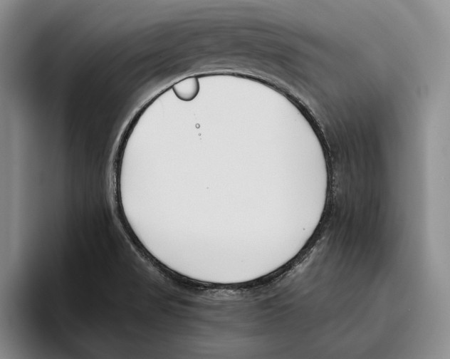 X0000096141517200802151324