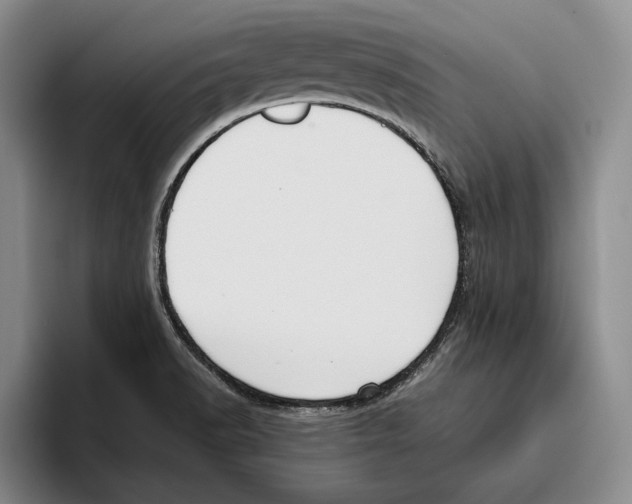 X0000096141518200802151324