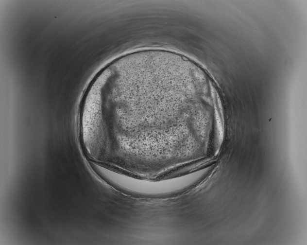 X0000096141519200802151324