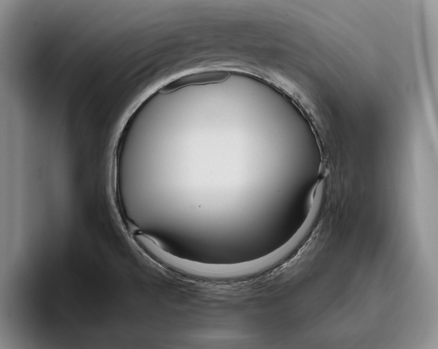X0000096141520200802151324