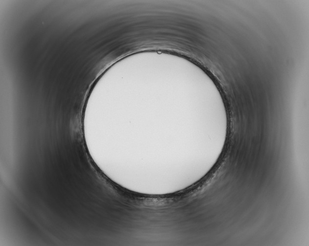 X0000096141521200802151324