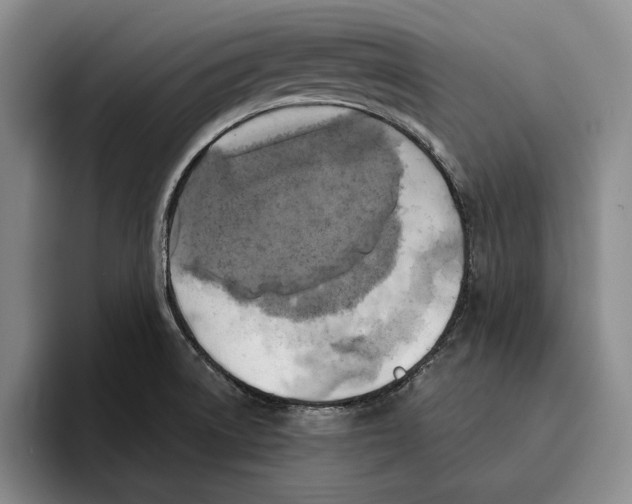 X0000096141522200802151324