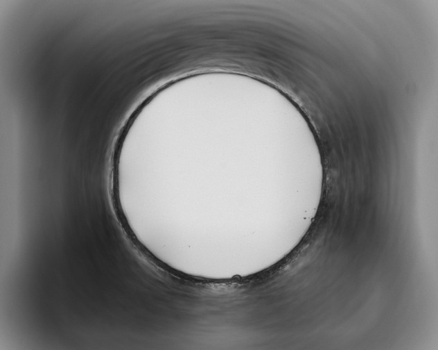 X0000096141523200802151324