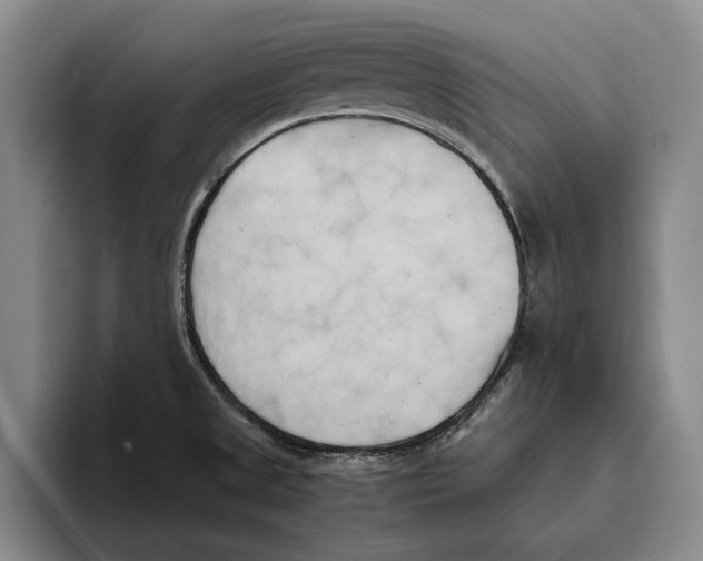 X0000096141525200802151324