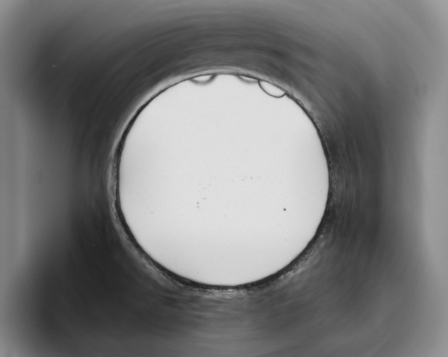 X0000096141526200802151324