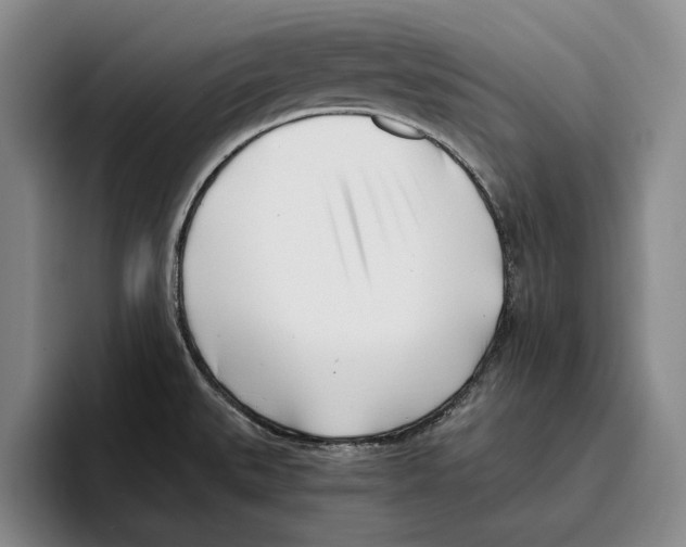 X0000096141527200802151324
