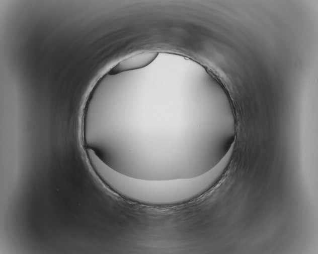 X0000096141528200802151324