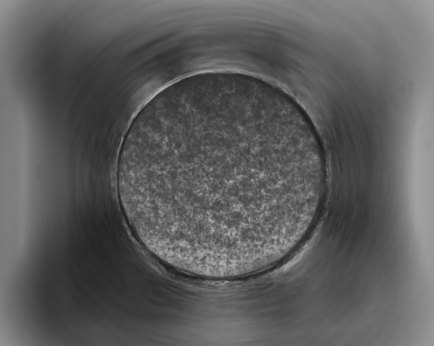 X0000096141529200802151324