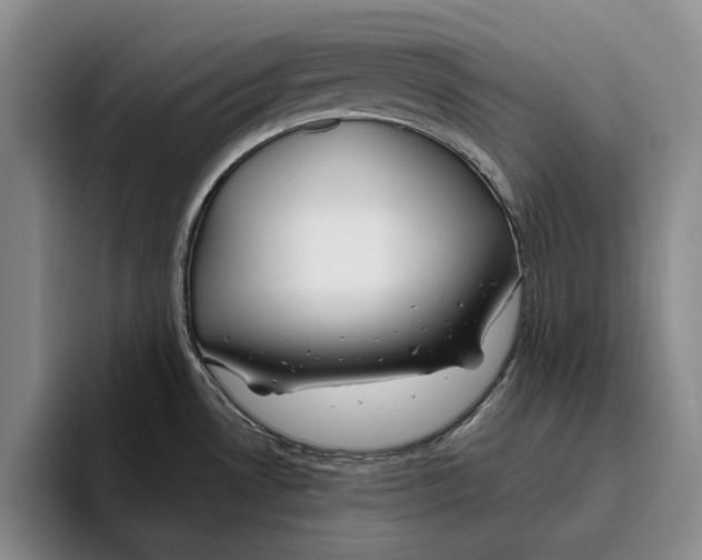 X0000096141530200802151324