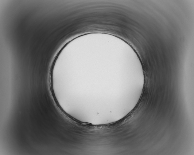 X0000096141531200802151324