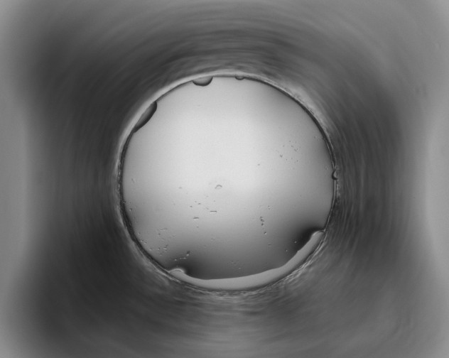 X0000096141532200802151324