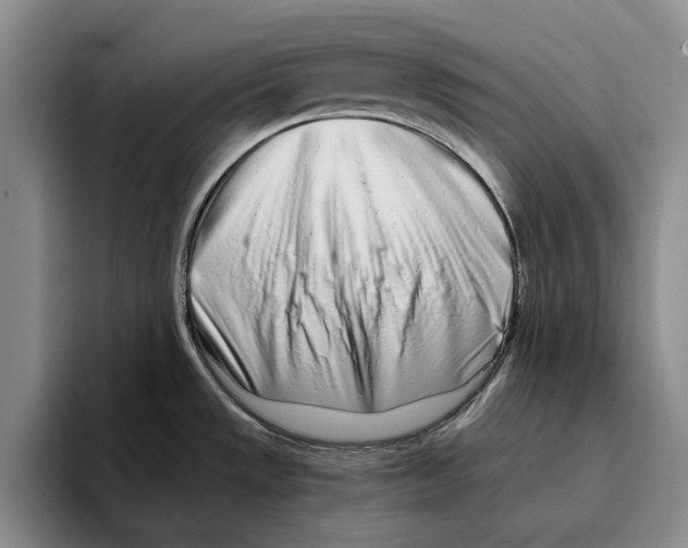 X0000096141533200802151324
