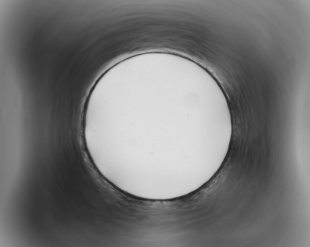 X0000096141534200802151324