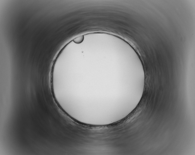 X0000096141535200802151324