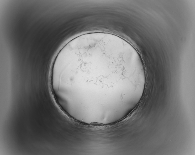 X0000096141536200802151324