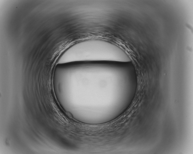 X0000096150002200801180839