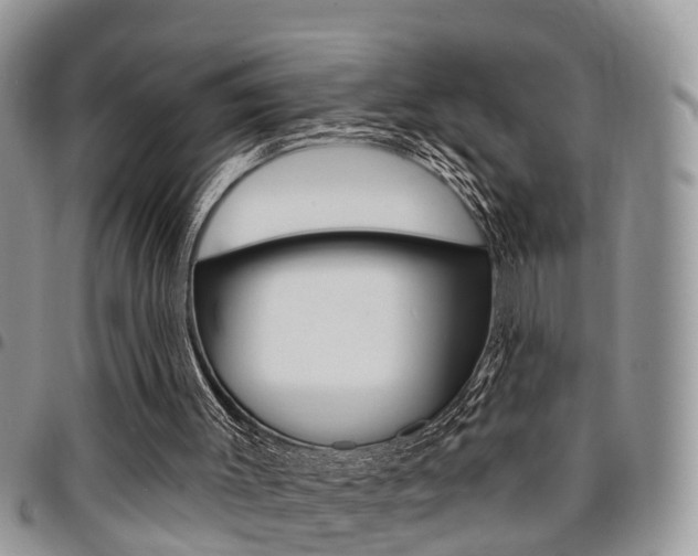 X0000096150003200801180839