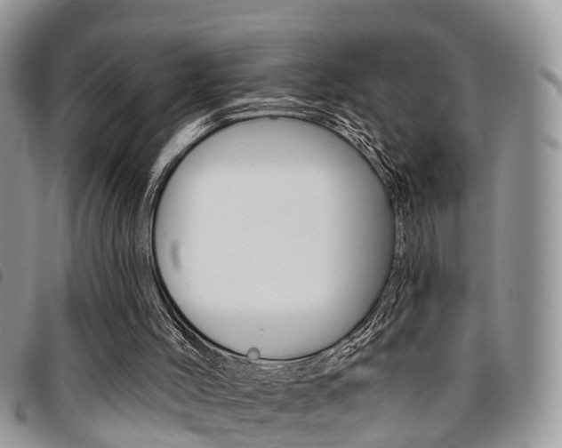 X0000096150004200801180839
