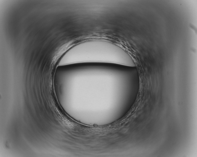 X0000096150005200801180839