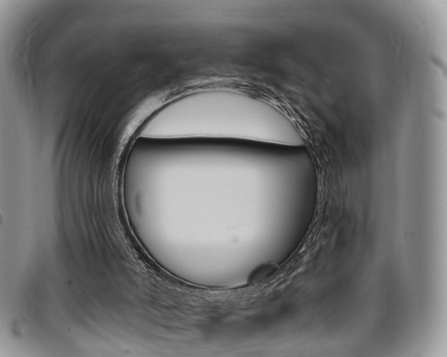 X0000096150006200801180839