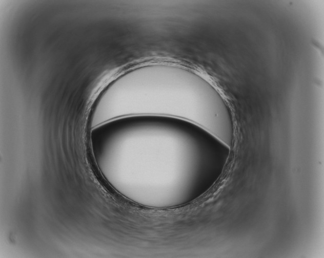 X0000096150007200801180839