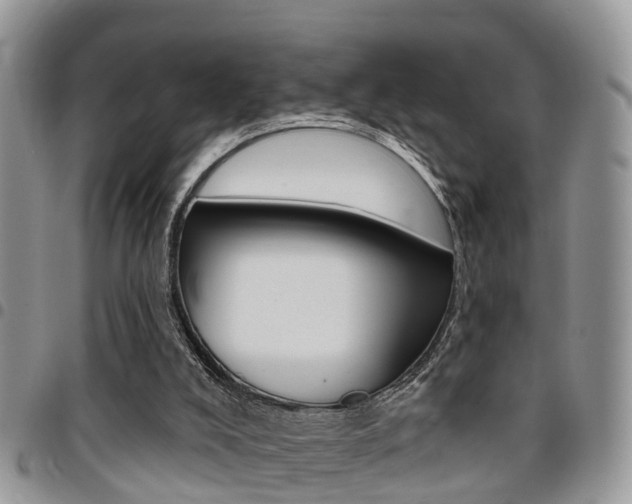 X0000096150008200801180839