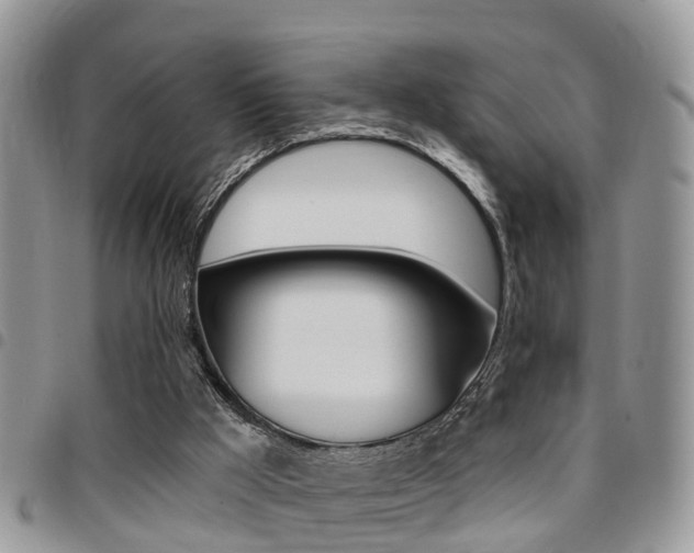 X0000096150009200801180839